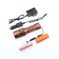 Lanterna elétrica da tocha do diodo emissor de luz do equipamento de 200 Lumen ao ar livre com bateria 26650